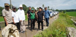 Pj Bupati Pringsewu Tinjau Jalan Rusak Di Kecamatan Banyumas