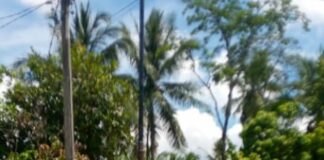 Tiang Internet Dipasang Tanpa Izin Warga Pemilik Tanah Minta Untuk Di Bongkar