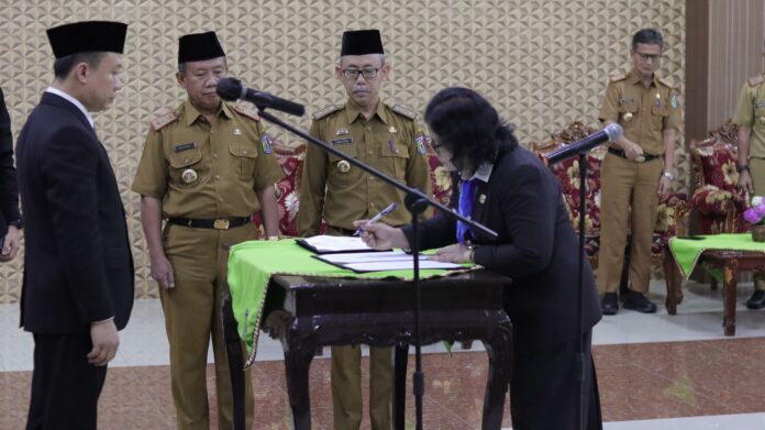 WhatsApp Image 2024-03-26 at 18.34.12