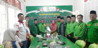 Nanda Indra Mengembalikan Berkas Penjaringan Calon Kepala Daerah