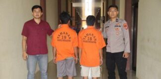 Polres Pringsewu Menangkap Jaringan Pencuri Puluhan Kambing Di 5 Tempat Berbeda