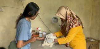 Pemkot Metro Salurkan 200 Dosis Vaksin Rabies