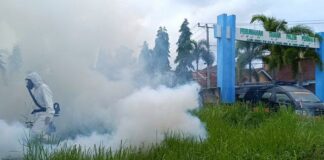 Diskes Pringsewu Mencatat Hingga Mei 2024 Angka DBD Hampir 500 Kasus