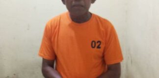 Kakek 65 Tahun Dipesawaran Rudapaksa Anak Dibawah Umur