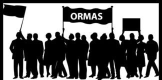 Forum Relawan Jokowi Kecam Aksi Arogansi Dan Teror Yang Di Lakukan Oknum Ormas Grib Jaya Lampung