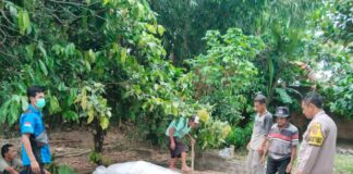 Mayat Pria ODGJ Tanpa Identitas Yang Ditemukan Tewas di Pringsewu di Makamkan