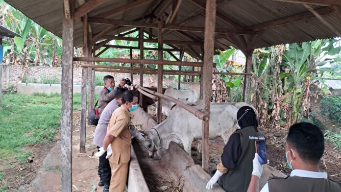 aea3d187-7197-429e-b88c-53ac69e53632