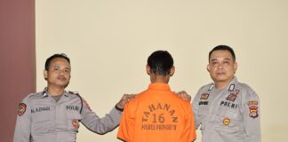 Gelapkan Motor Dan HP Teman, Pria Di Pringsewu Di Tangkap Polisi Saat Pulang kampung