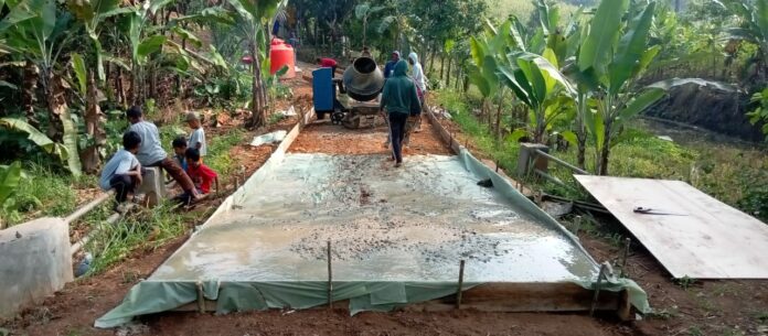 f448d33a-5ad9-4bf1-9e3b-a6c69286253f