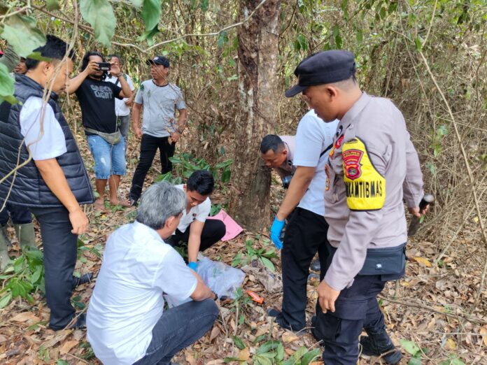 b251b948-f274-48ed-b6e8-5d9e391467d1