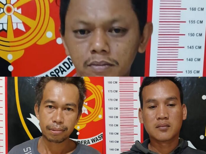 a19ceb78-26d6-4b1d-aab2-d619d3bff069