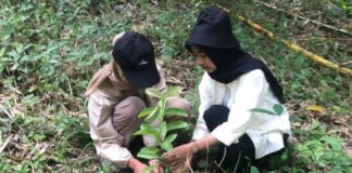 KSE Unila Partisipasi Dalam Gerak Tanam Pohon Serentak Di 40 Titik