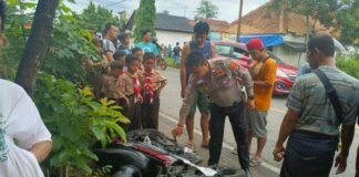 Pelajar Asal Tanggamus Tewas Kecelakaan Di Jalinbar Pringsewu