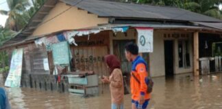 BPBD Pesisir Barat Lampung Imbau Warga Berhati-hati