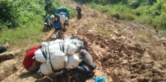 Warga Way Haru Pesisir Barat Minta Pembangunan Jalan